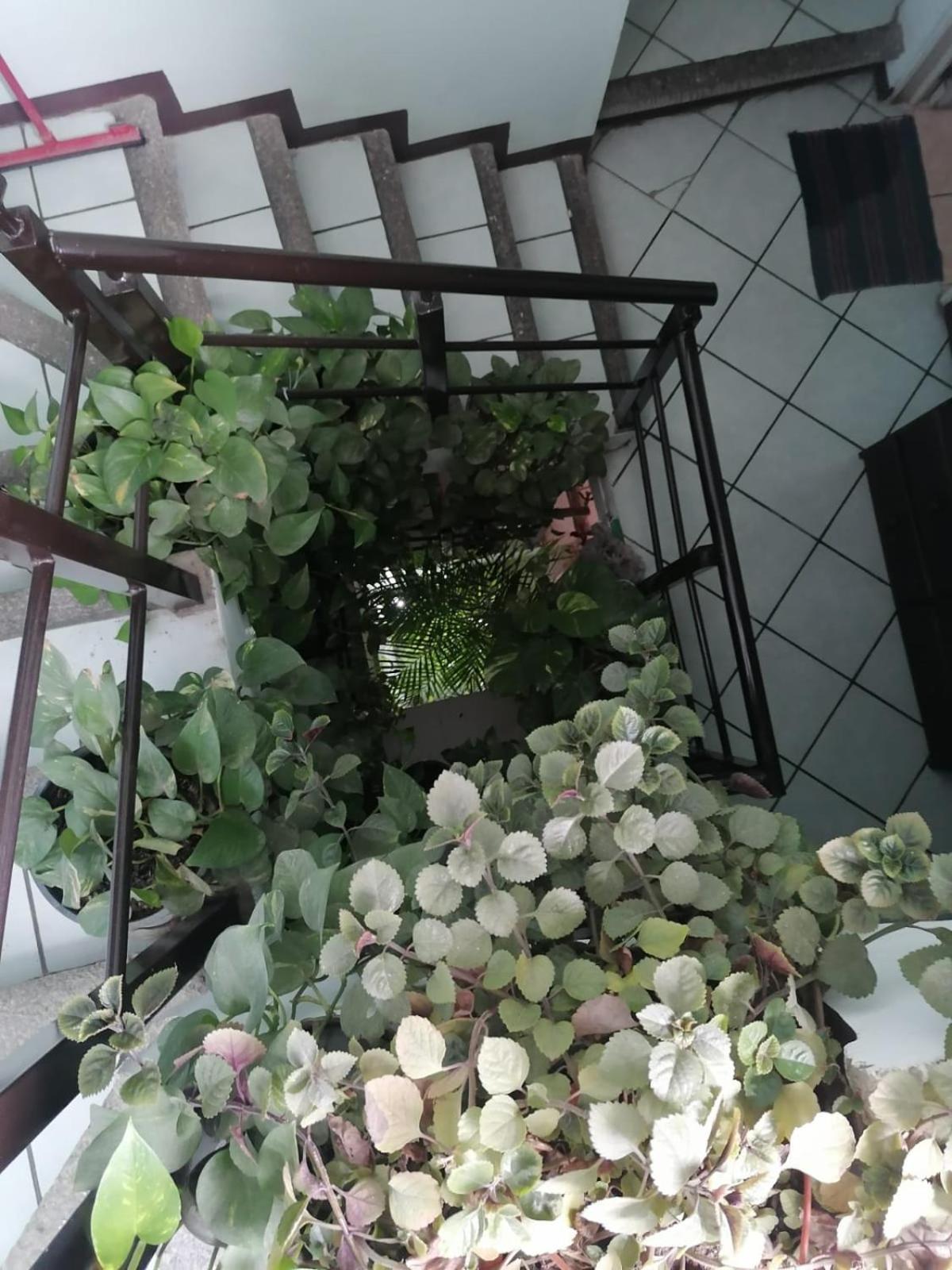 Casa Los Arcos オアハカ州 エクステリア 写真