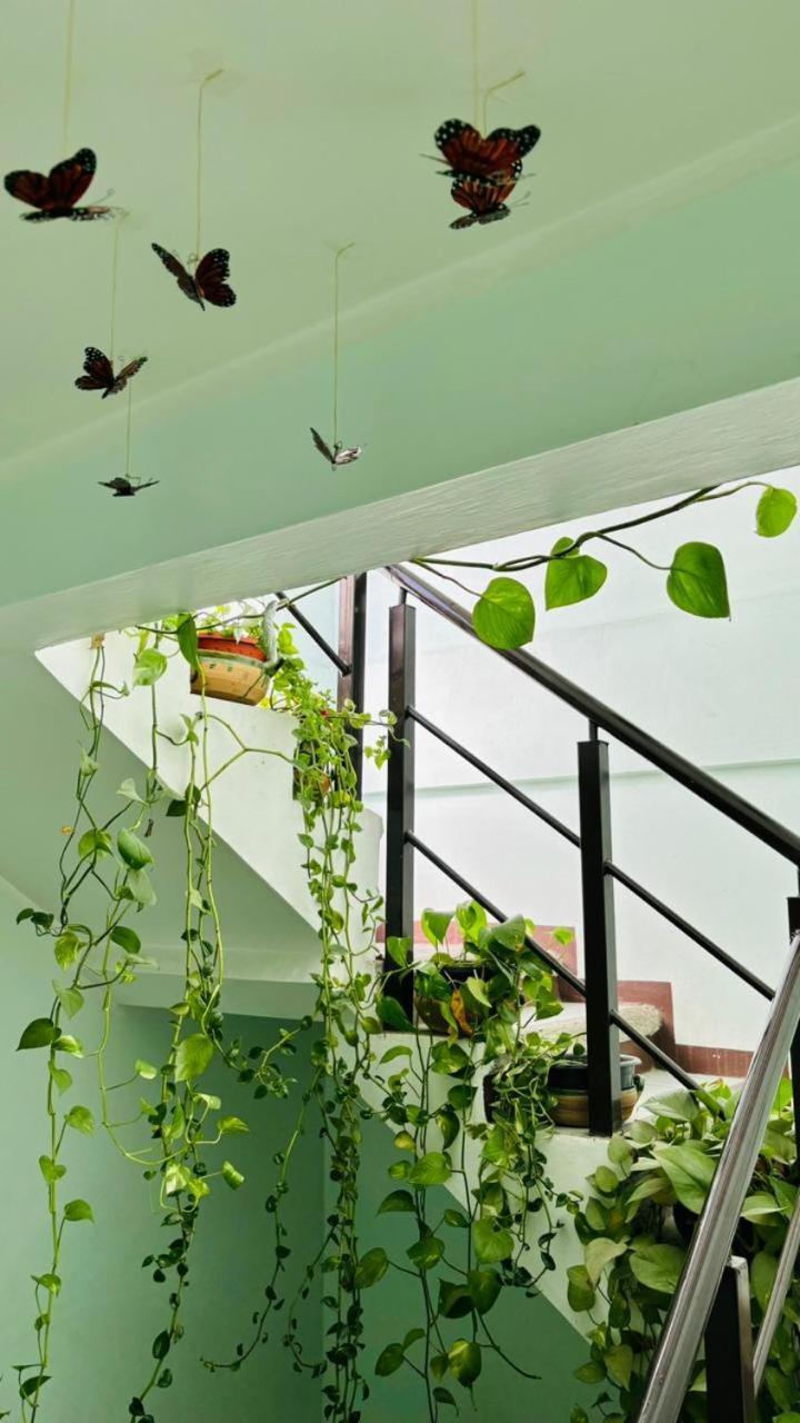 Casa Los Arcos オアハカ州 エクステリア 写真
